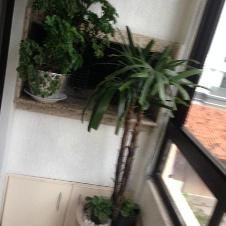 Jurere Apartment Florianopolis Exterior photo